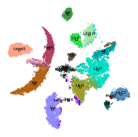 Mouse cortex - Random Forest