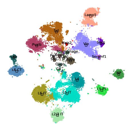 Mouse cortex - Neural Network